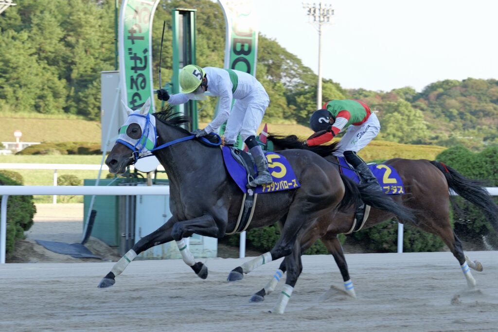 昨年の優勝馬アラジンバローズ